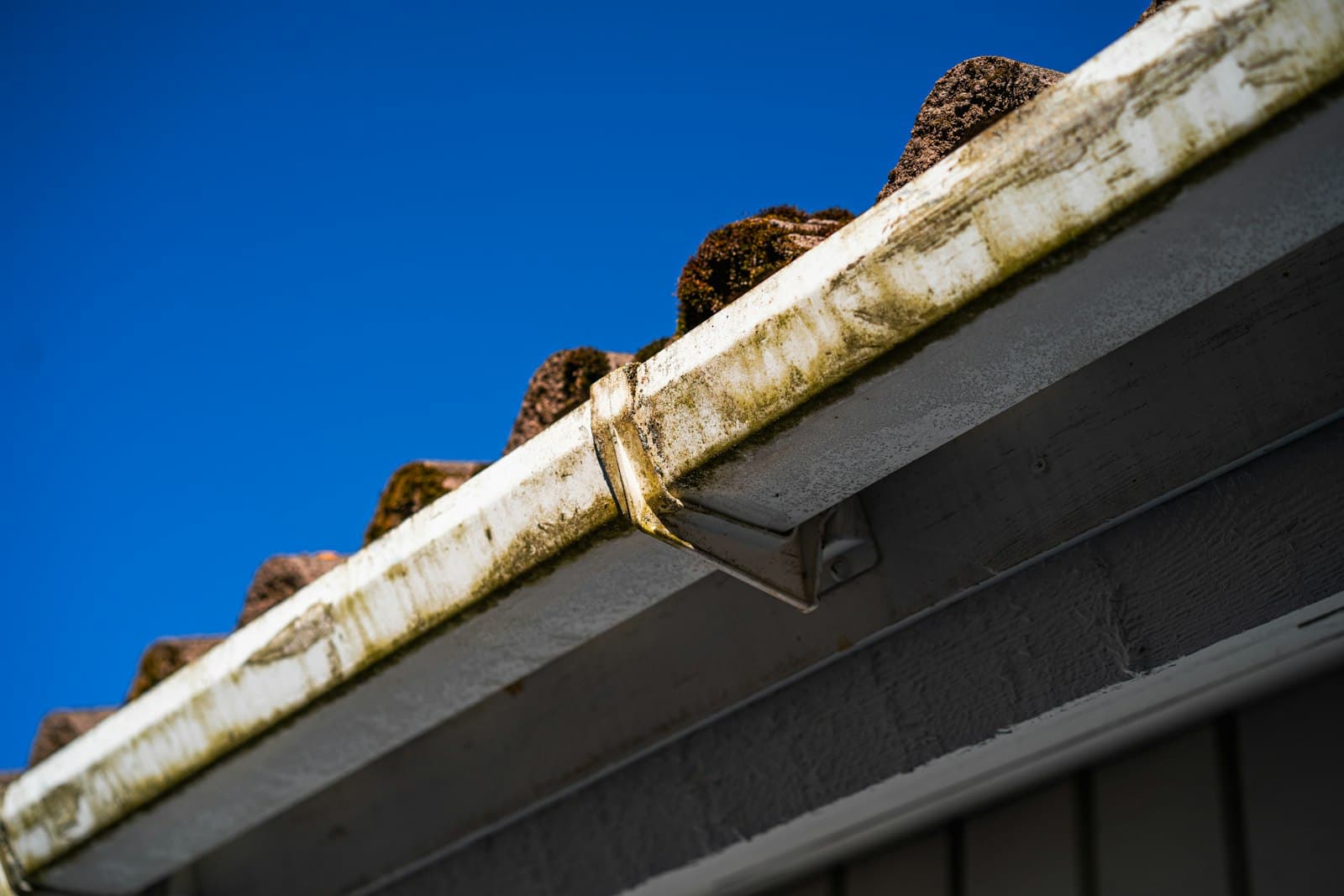 A gutter filled with debris along a house roofline — the kind of task Lillypad keeps track of
