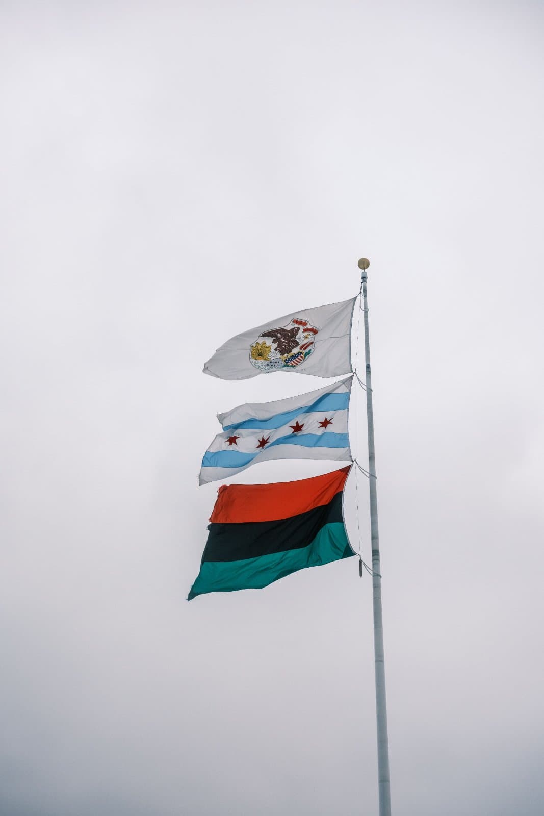 Illinois flags on a pole